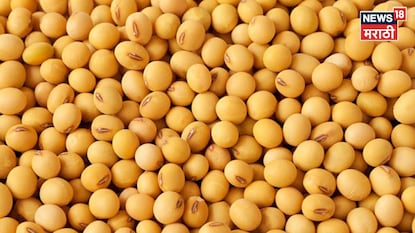 Soyabean Market Update Soyabean Market Update