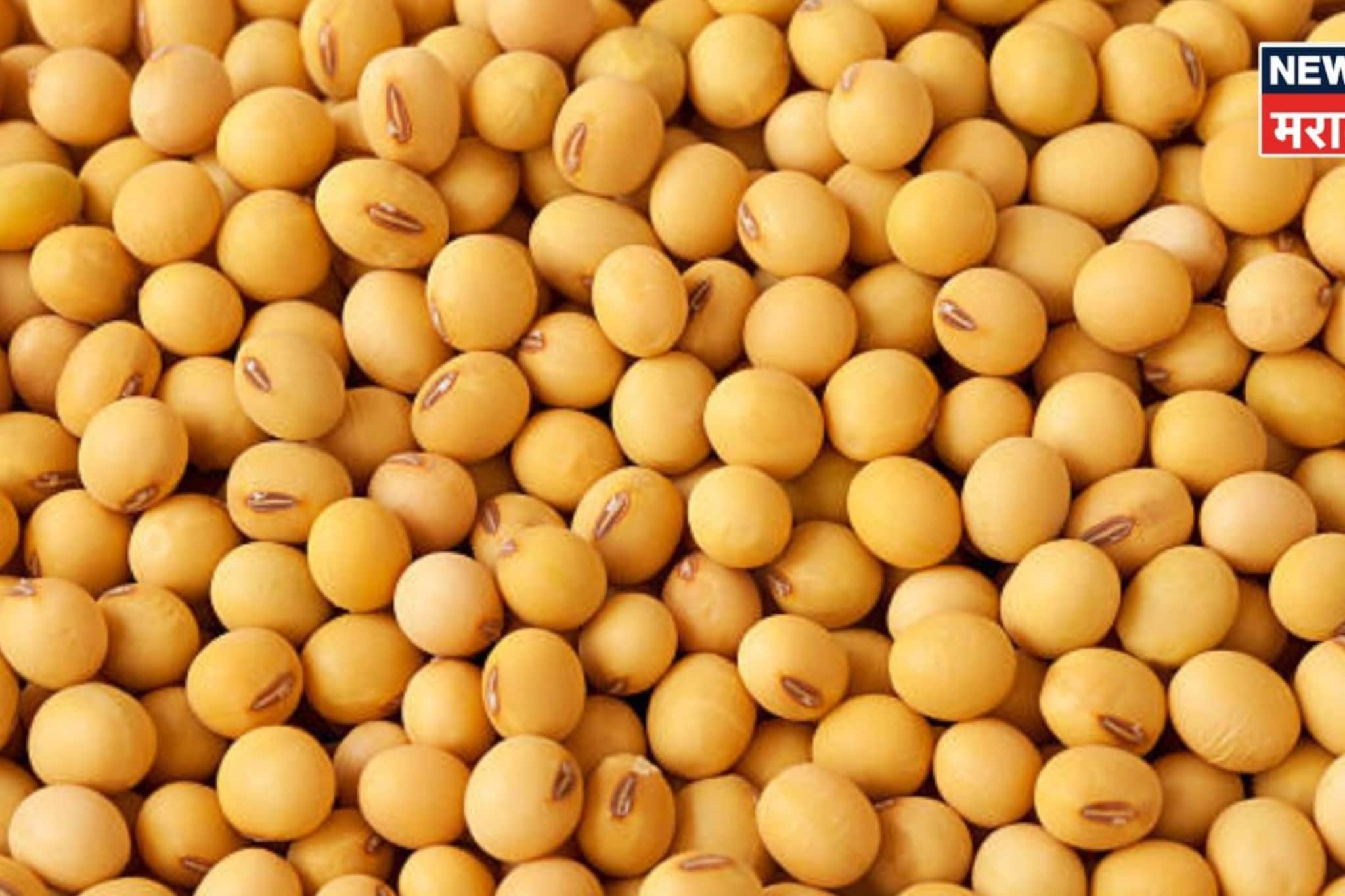 सोयाबीन बाजारभावात मोठी वाढ! मार्चमध्ये दर कसे असणार?