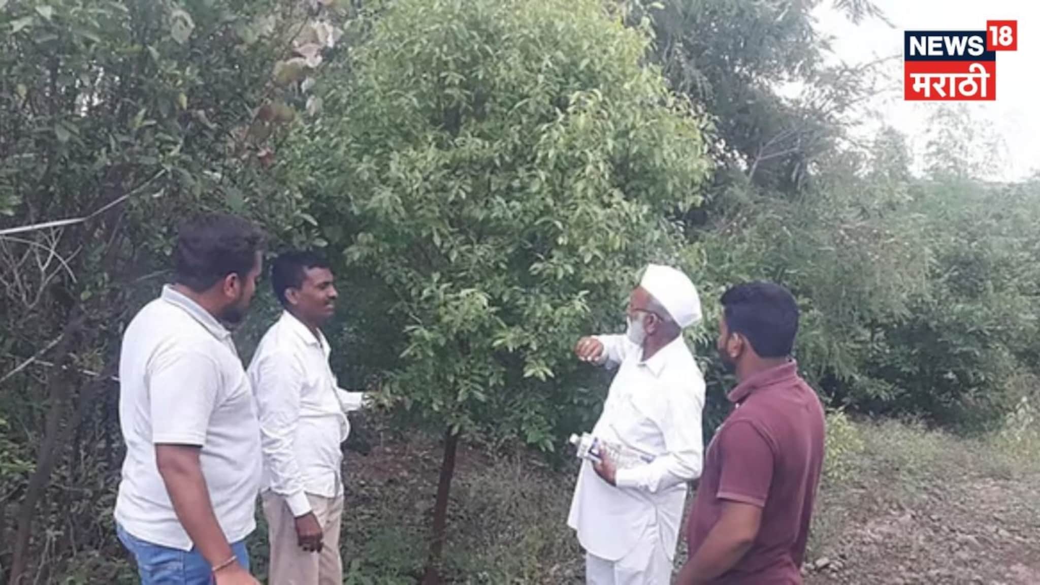 अहिल्यानगरच्या रावसाहेबांनी केली कमाल! शेतात या १४ हजार रोपांची लागवड केली अन् झाले करोडपती