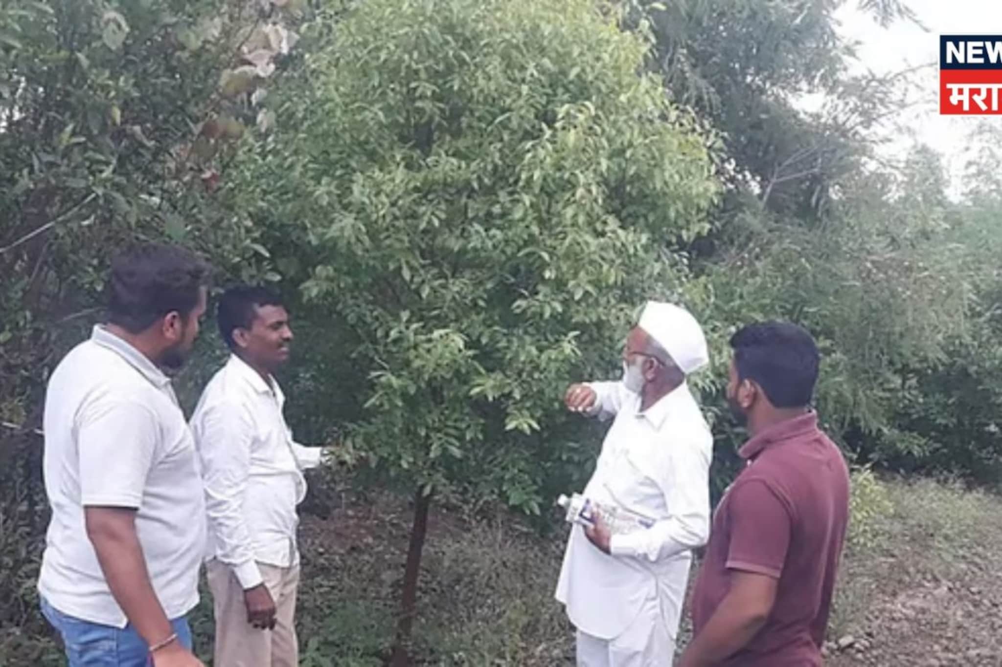 अहिल्यानगरच्या शेतकऱ्याने केली कमाल! १४ हजार रोपांची लागवड केली अन् झाला करोडपती अहिल्यानगरच्या शेतकऱ्याने केली कमाल! १४ हजार रोपांची लागवड केली अन् झाला करोडपती