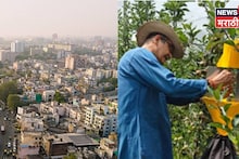 जमिनीची सुद्धा गरज नाही! शहरात राहून या शेतीतून कमवा लाखो रुपये, ते कसं?