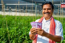 जळगावच्या सुभाष यांचा नाद खुळा! शेतात केला अनोखा प्रयोग अन् ७५ दिवसांत कमावले ८.५ लाख रुपये