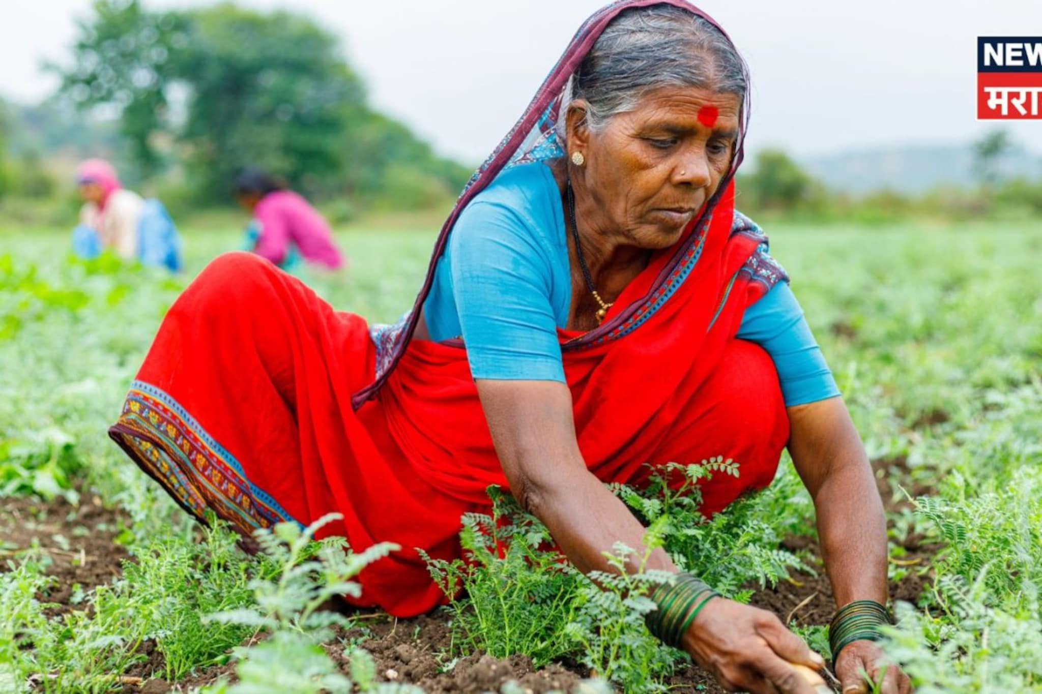 सरकारचा मोठा निर्णय! या ९ जिल्ह्यातील महिला शेतकऱ्यांना मिळणार शेती प्रशिक्षण