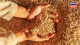 Soybean Market Update