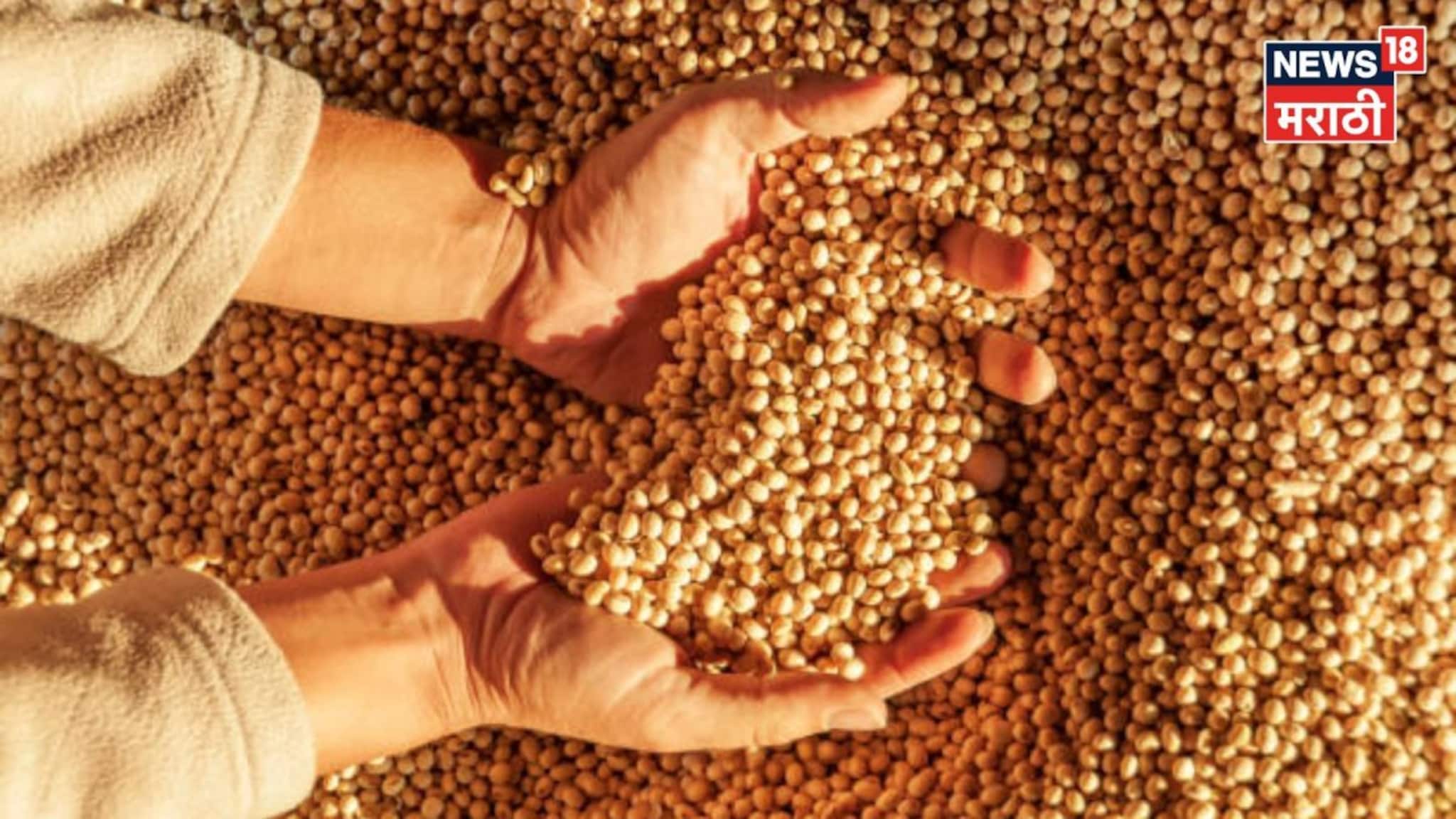 सोयाबीनचे दर सुधारले! बाजारभाव आणखी वाढणार का? आजचे मार्केट काय?