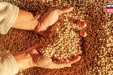 सोयाबीन मार्केट सुसाट! 6,000 चा टप्पा ओलांडणार? व्यापाऱ्यांनी थेट सांगितलं