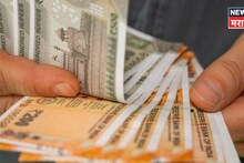 रस्त्याच्या कडेला ठेवलेल्या पेट्या पाहिल्या अन् डोक्यात आली आयडिया, नाशिकचा शेतकरी आता झाला करोडपती