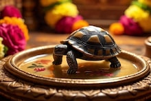 Tortoise : घरात कासवाची मुर्ती ठेवताय? चुकूनही करू नका 'या' चुका; जाणून घ्या कोणत्या दिशेला ठेवल्याने होईल धनवर्षाव
