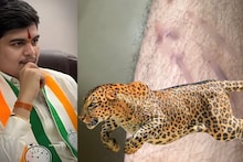 काँग्रेस नेत्याच्या नातवावर बिबट्याचा हल्ला, वडिलांच्या प्रचारावरून घरी येत असतानाच धक्कादायक घटना