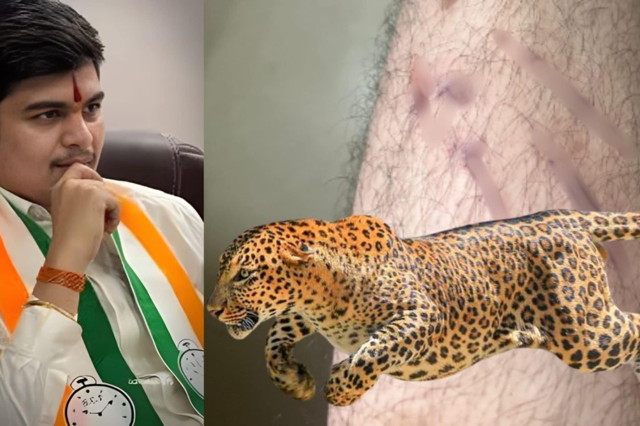 काँग्रेस नेत्याच्या नातवावर बिबट्याचा हल्ला, वडिलांच्या प्रचारावरून घरी येताना..