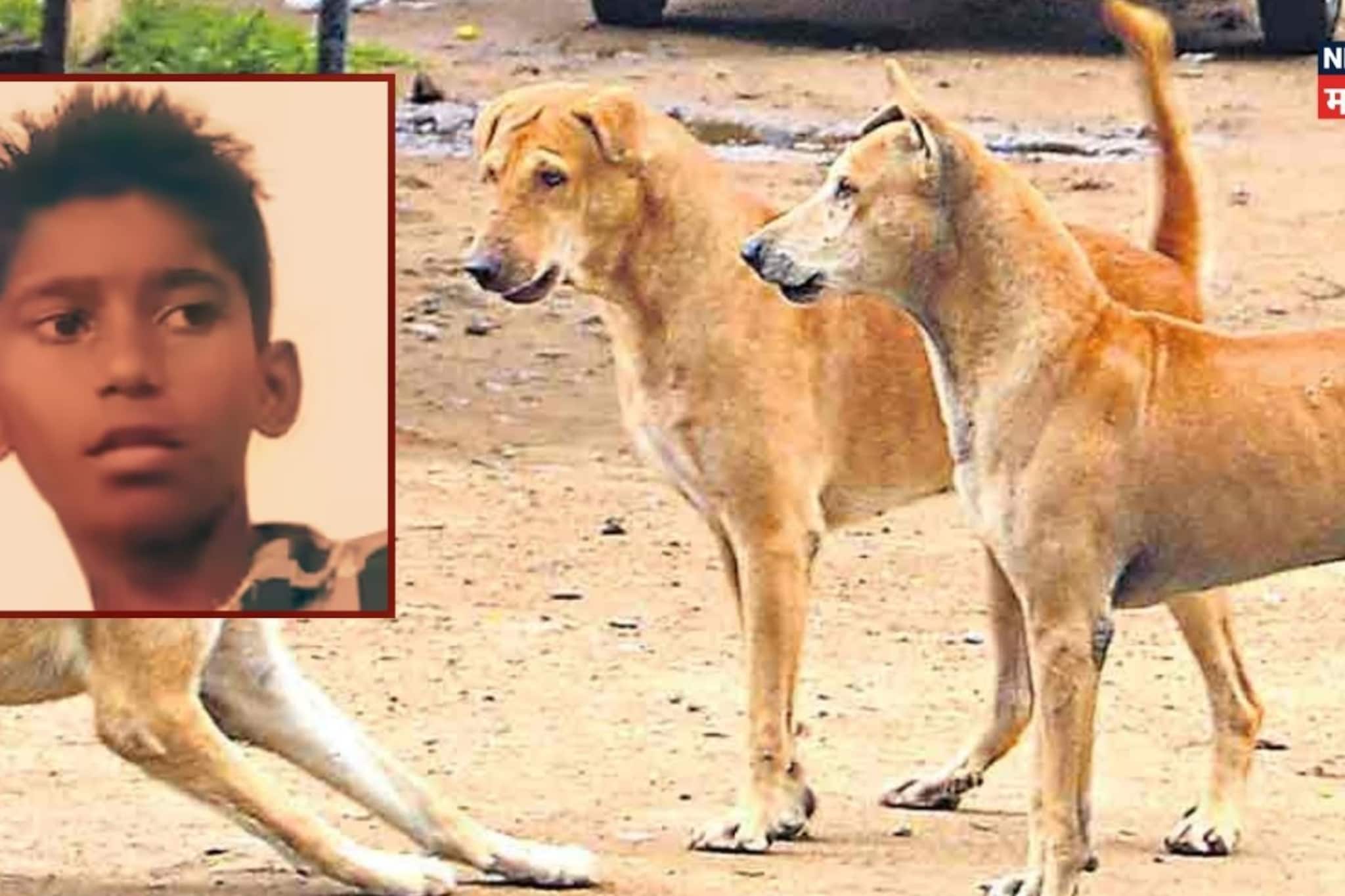 आईच्या डोळ्यासमोर 20 दिवस तडफडत होता 12 वर्षांचा चिमुकला, 3 इंजेक्शन दिले तरी मृ