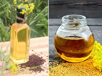 काळ्या-पिवळ्या मोहरीच्या तेलामध्ये फरक काय? दोन्हींपैकी कोणते जास्त चवदार असते?