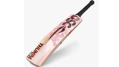 प्रतिकात्मक फोटो Canva प्रतिकात्मक फोटो Canva