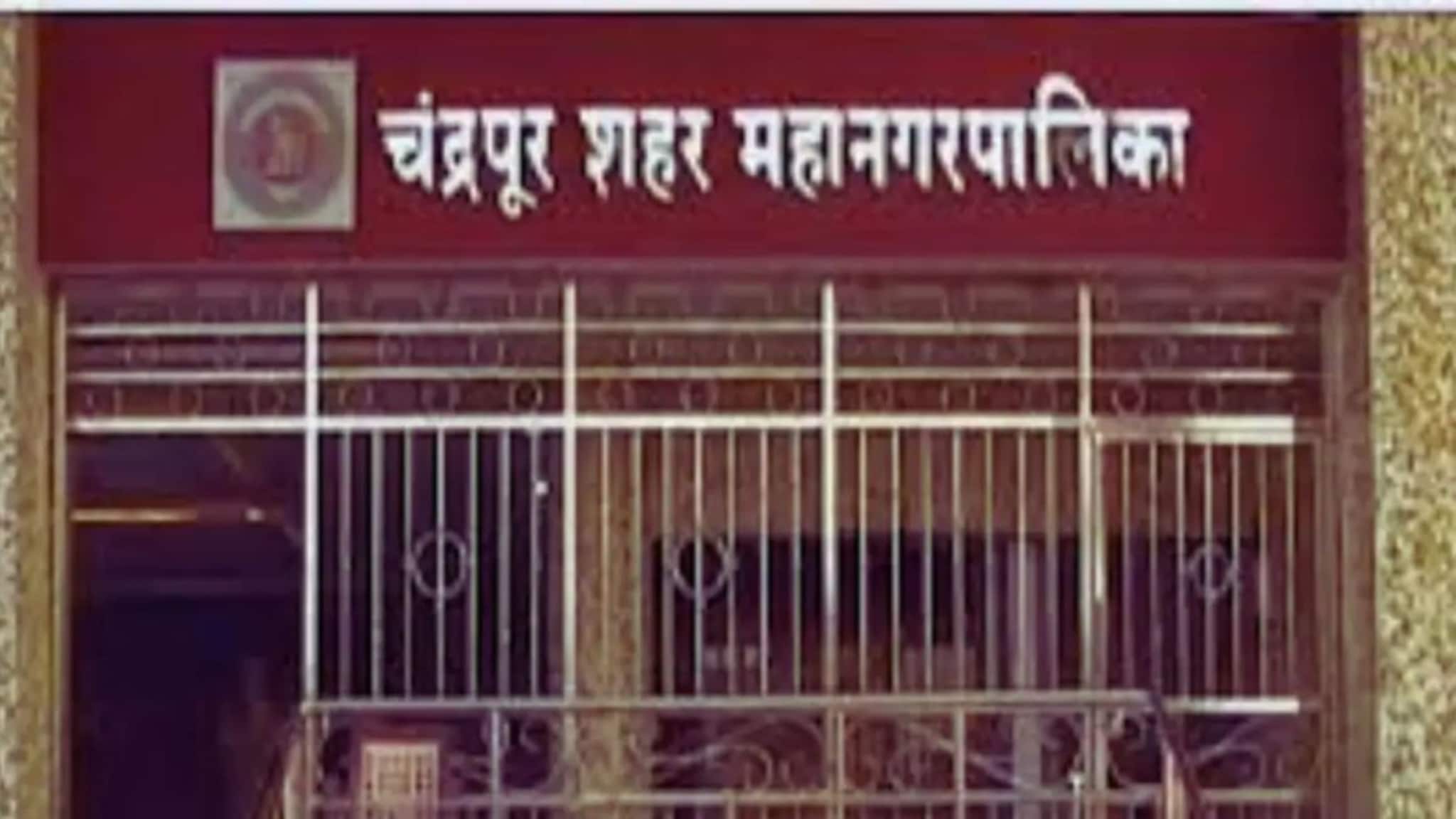 चंद्रपुरात वंचितची मोठी कारवाई, निकालानंतर शहराध्यक्षाची पक्षातून हकालपट्टी