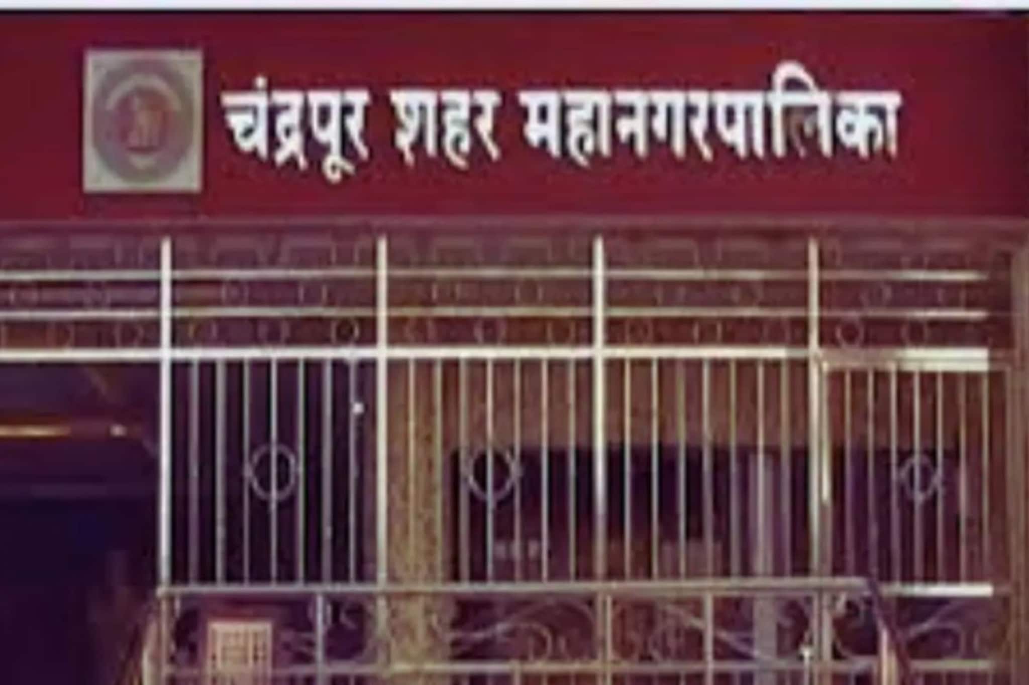 चंद्रपुरात वंचितची मोठी कारवाई, निकालानंतर शहराध्यक्षाची पक्षातून हकालपट्टी