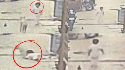 कुत्र्याचा २ वर्षांच्या चिमुकलीवर हल्ला