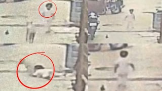 कुत्र्याचा २ वर्षांच्या चिमुकलीवर हल्ला कुत्र्याचा २ वर्षांच्या चिमुकलीवर हल्ला