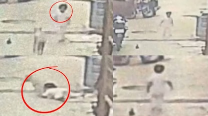 कुत्र्याचा २ वर्षांच्या चिमुकलीवर हल्ला कुत्र्याचा २ वर्षांच्या चिमुकलीवर हल्ला