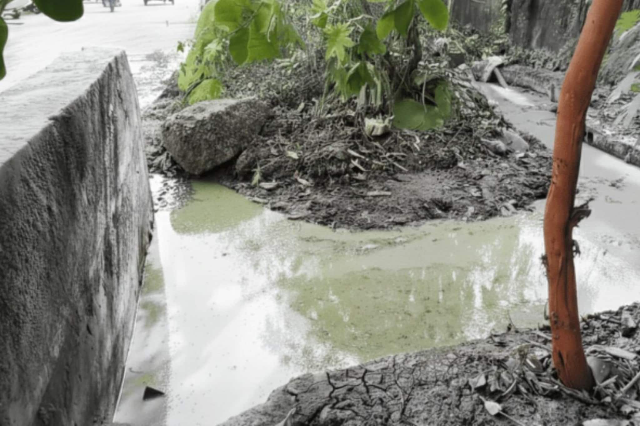 डोंबिवलीत पुन्हा रस्ते झाले हिरवे, नेमका प्रकार काय? नागरिकांमध्ये भीतीचं वातावर डोंबिवलीत पुन्हा रस्ते झाले हिरवे, नेमका प्रकार काय? नागरिकांमध्ये भीतीचं वातावर