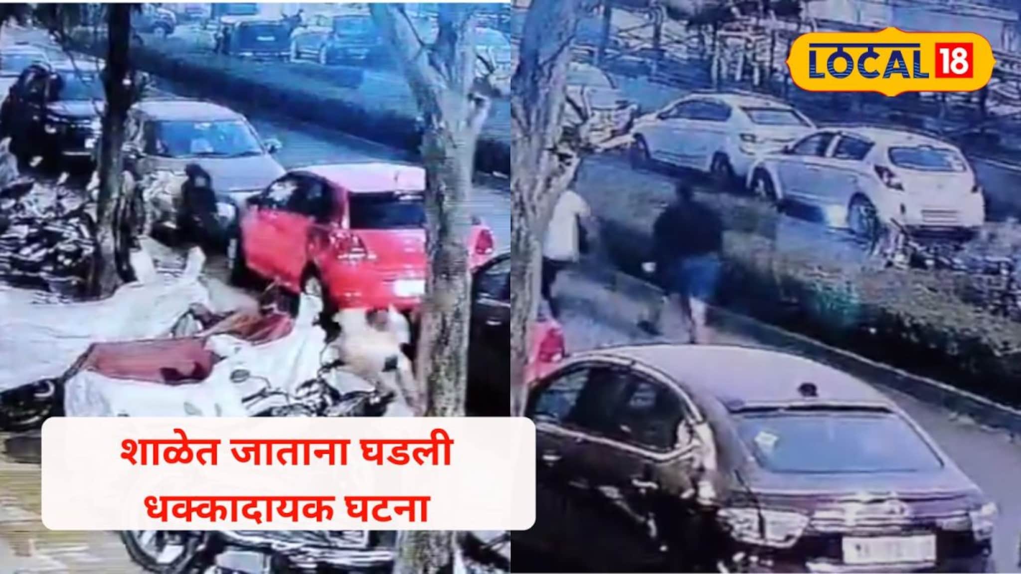 Dombivli : काही कळायच्या आत पाठीमागून आले; शाळेत जाणाऱ्या मुलीवर भटक्या कुत्र्यांचा हल्ला; थरकाप उडवणारा VIDEO