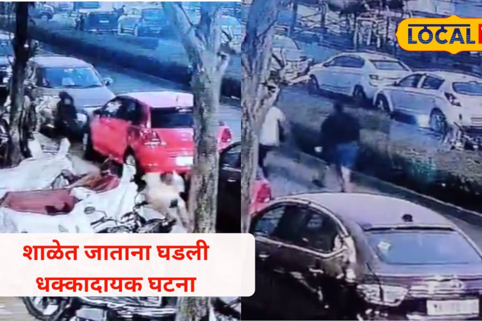 काही कळायच्या आता पाठीमागून आले; शाळेत जाणाऱ्या मुलीवर भटक्या कुत्र्यांचा हल्ला