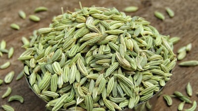 प्रतिकात्मक फोटो