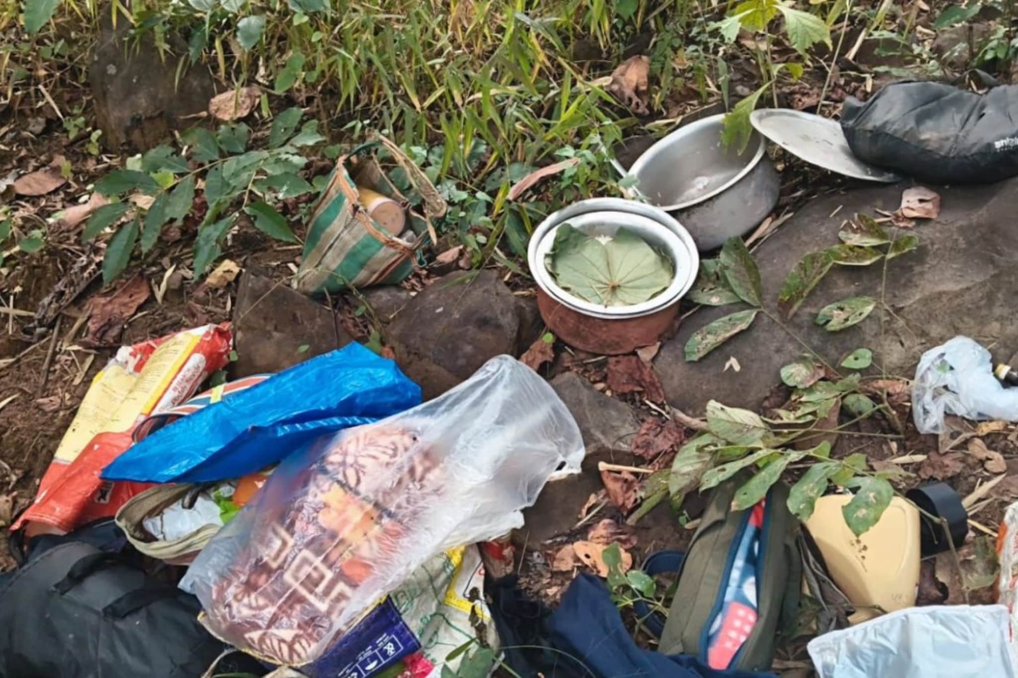 घनदाट जंगलात महाराष्ट्र पोलिसांचा धमाका, नक्षलवाद्यांचा अड्डा उद्ध्वस्त; एक ठार