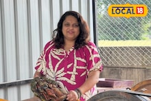 टाकाऊ मूर्तींपासून टिकाऊ कलाकृती, तृप्ती यांचा पर्यावरण पूरक उपक्रम, अश्या बनवतात वस्तू, Video