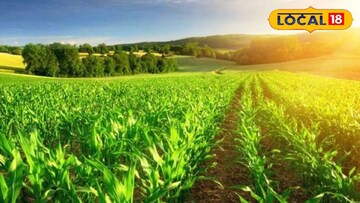 पारंपरिक