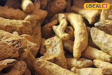 APMC Market: हळदीला मिळाला उच्चांकी दर, आले आणि डाळिंबाची काय स्थिती? इथं चेक करा