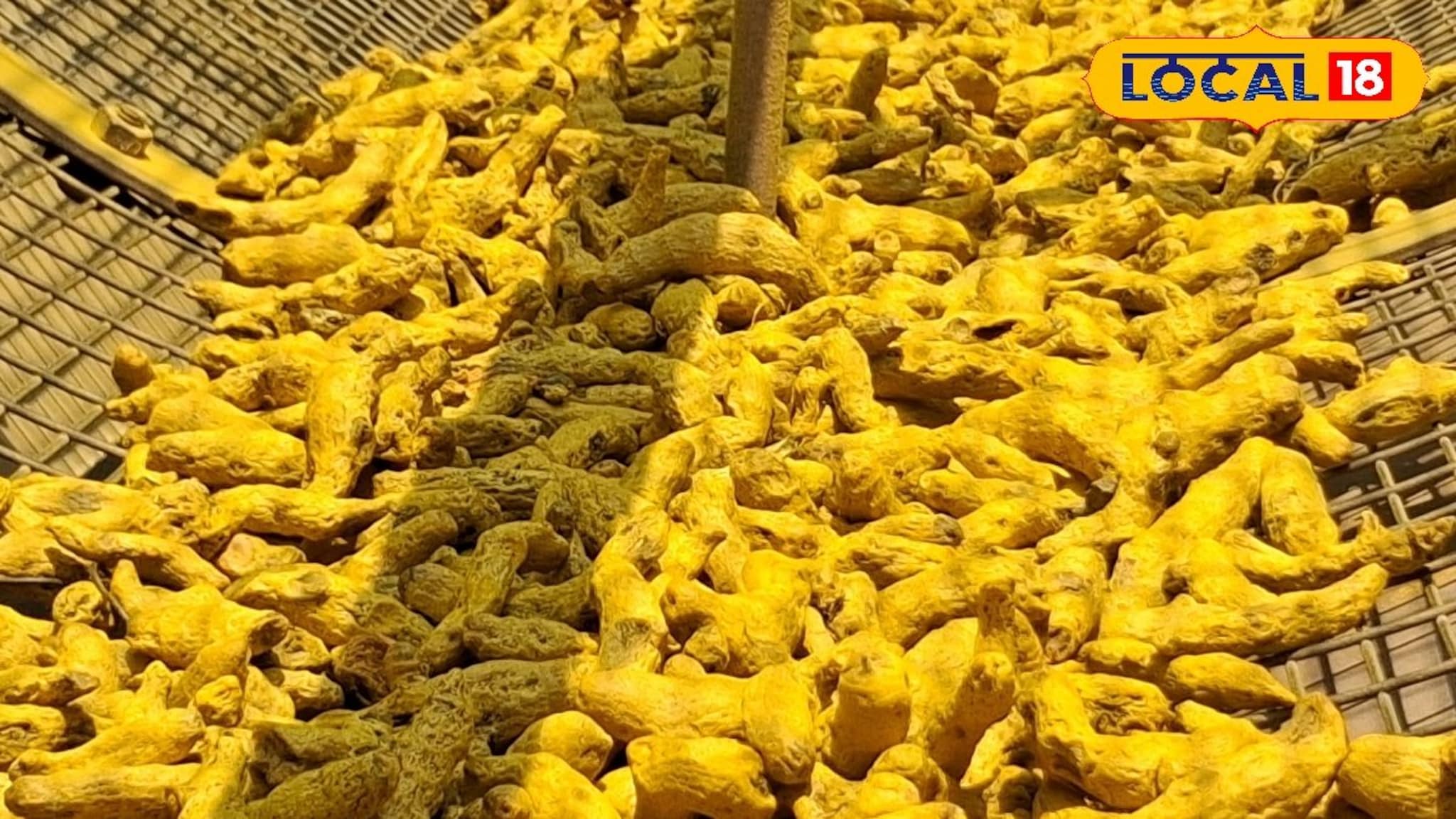 डाळिंबाच्या दरात उलथापालथ, हळदीच्या भावात मोठी उसळी, आल्याची काय स्थिती?