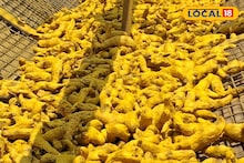 डाळिंबाच्या दरात उलथापालथ, हळदीच्या भावात मोठी उसळी, आल्याची काय स्थिती?