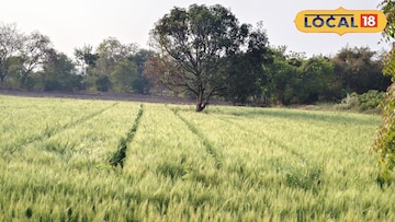 ढगाळ-दमट