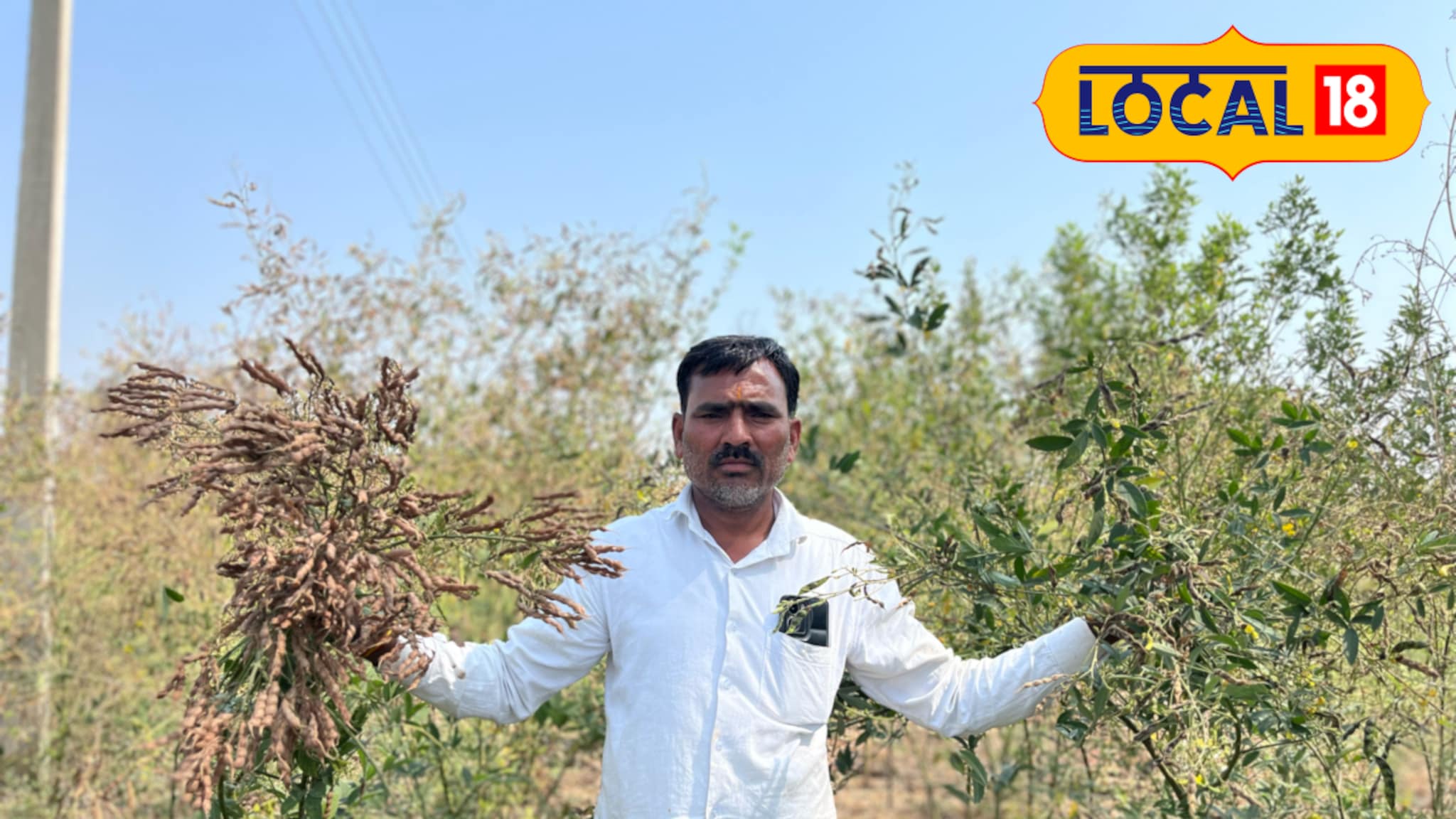 'मुन्नी'ने दिला दगा, 5 लाखांचं झालं नुकसान, शेतकऱ्याची कृषी विभागाकडे तक्रार