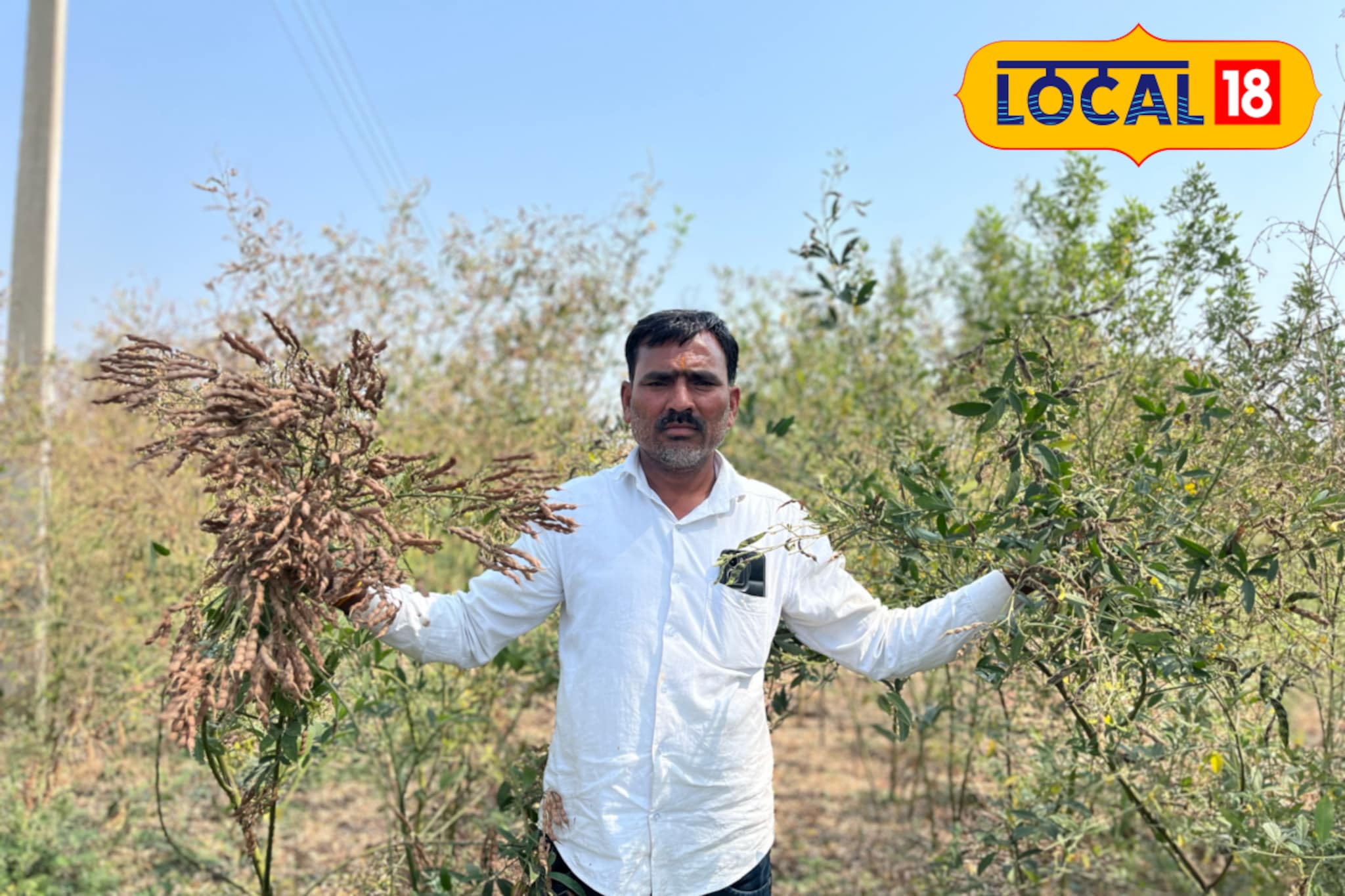 'मुन्नी'ने दिला दगा, 5 लाखांचं झालं नुकसान, शेतकऱ्याची कृषी विभागाकडे तक्रार