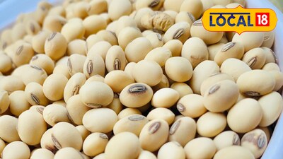 सोयाबीन 