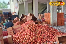 APMC Market: केळीचे दर घसरले, आल्याचे भाव तेजीत, डाळींबाची काय स्थिती?