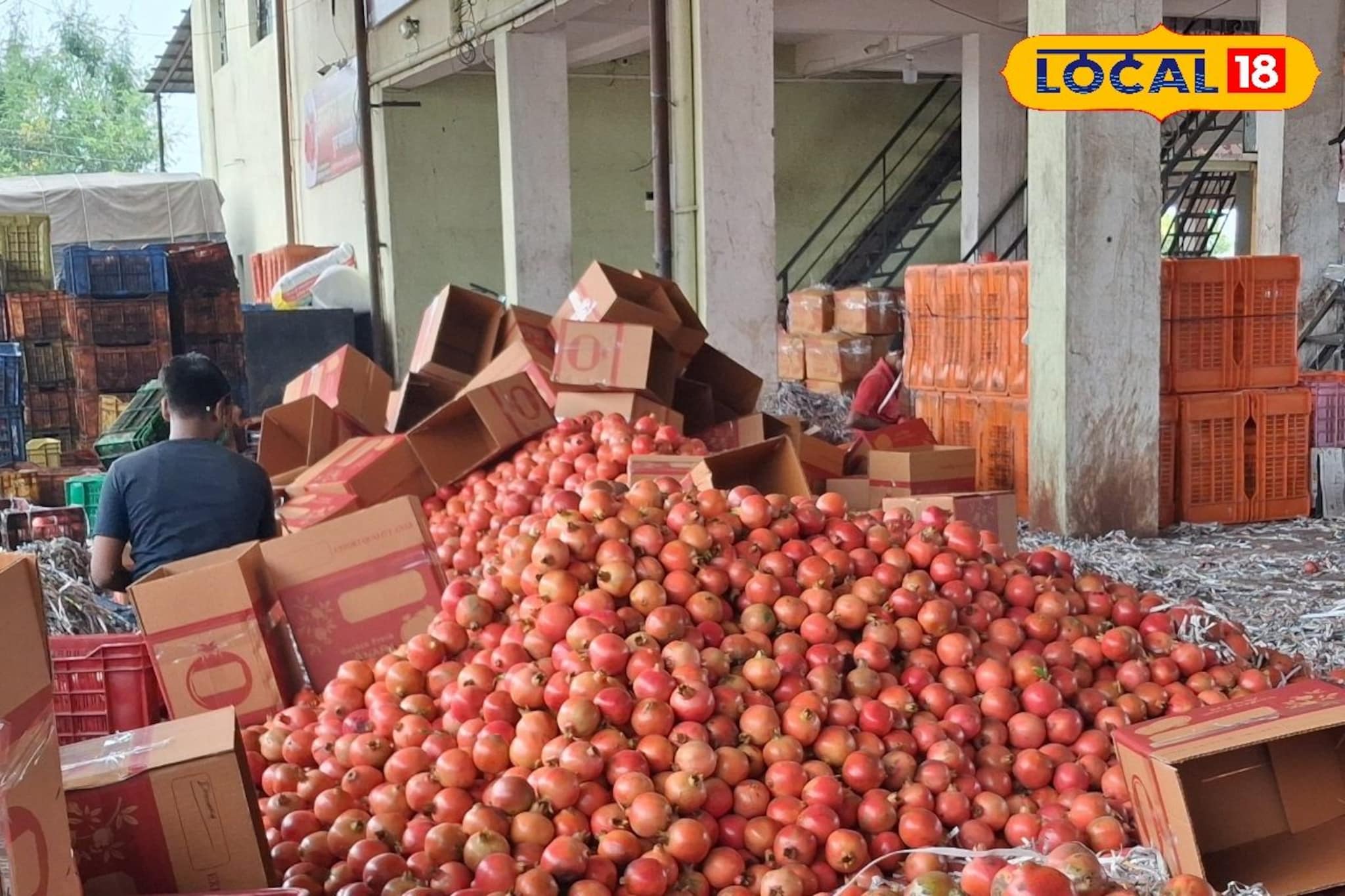 केळीचे दर घसरले, आल्याचे भाव तेजीत, डाळींबाची काय स्थिती?