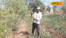 Success Story : शेतकऱ्याचा प्रयोग भारी, अर्ध्या एकरमध्ये केली आंतरपीक शेती, 2 लाख उत्पन्न