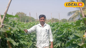 नोकरीला