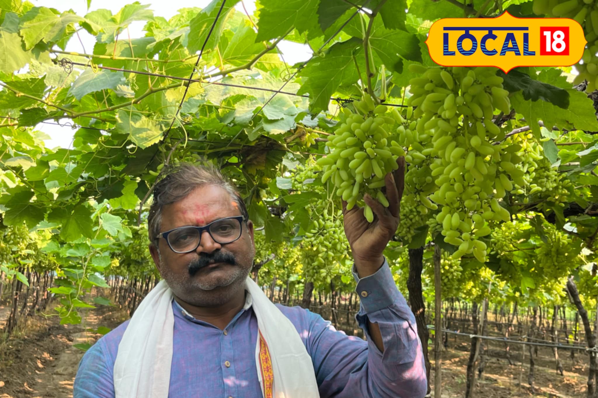 द्राक्ष शेतीचा घेतला धाडसी निर्णय, शेतकऱ्याचं नशीब पालटलं, 30 लाख नफा!