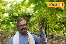 Success Story : द्राक्ष शेतीचा घेतला धाडसी निर्णय, मराठवाड्यातील शेतकऱ्याचं नशीब पालटलं, 30 लाख नफा!