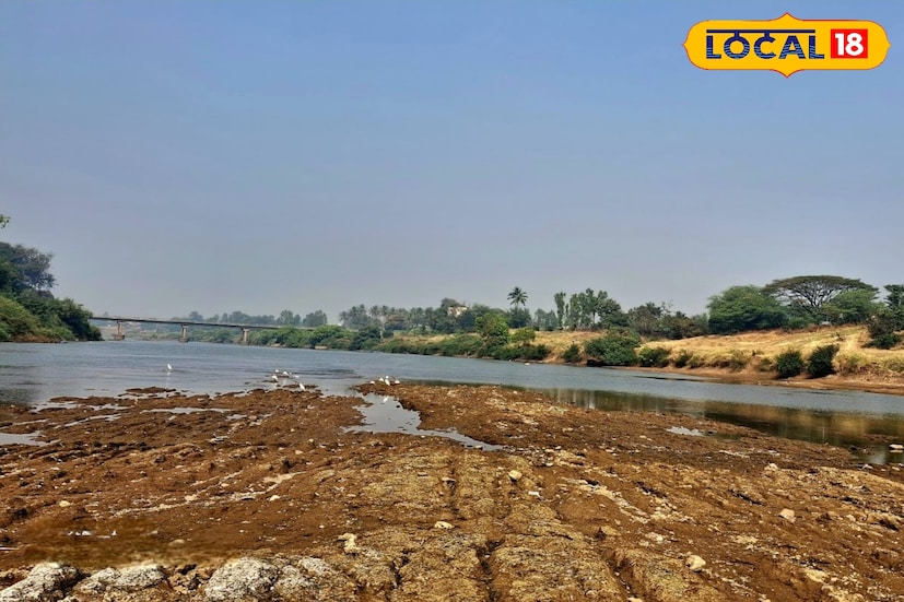 गेल्या काही दिवसांपासून महाराष्ट्रातून थंडी गायब झाली असून उन्हाचा चटका वाढला आहे. विशेषतः मुंबईसह ठाणे आणि कोकणात तापमानात मोठी वाढ झाली आहे. ठाणे, कल्याण-डोंबिवली परिसरात देखील हवामानात मोठे बदल जाणवत असून 17 फेब्रवारीचं हवामान अपडेट जाणून घेऊ. गेल्या काही दिवसांपासून महाराष्ट्रातून थंडी गायब झाली असून उन्हाचा चटका वाढला आहे. विशेषतः मुंबईसह ठाणे आणि कोकणात तापमानात मोठी वाढ झाली आहे. ठाणे, कल्याण-डोंबिवली परिसरात देखील हवामानात मोठे बदल जाणवत असून 17 फेब्रवारीचं हवामान अपडेट जाणून घेऊ.