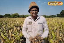 Success Story : शेतकऱ्यानं डोकं लावलं, हळद शेतीतून थेट पावडर निर्मिती, कमाई लाखात