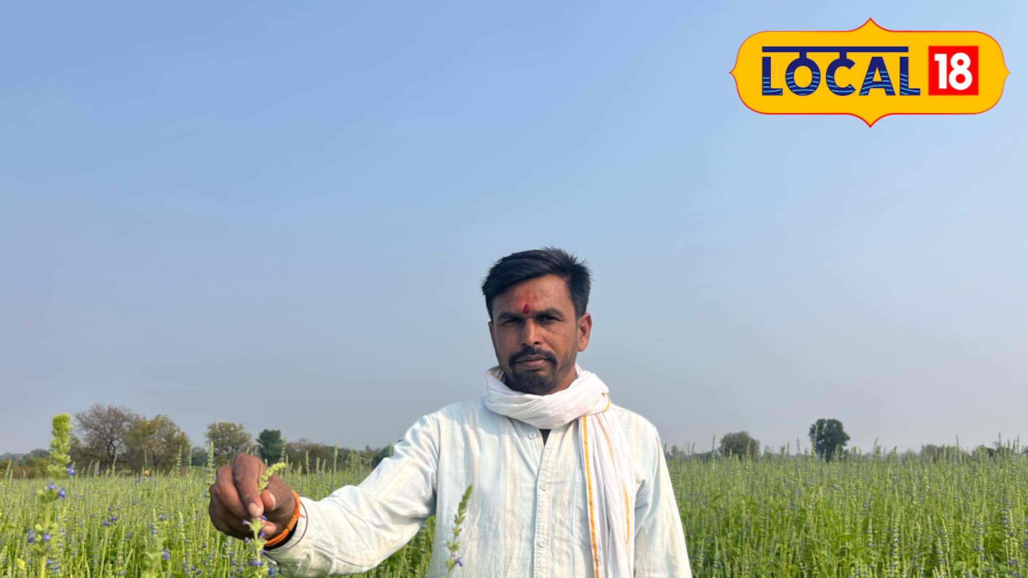 Success Story : पारंपरिक पिकाला दिला फाटा, चिया सीड्स शेतीचा यशस्वी प्रयोग, उत्पन्न लाखात