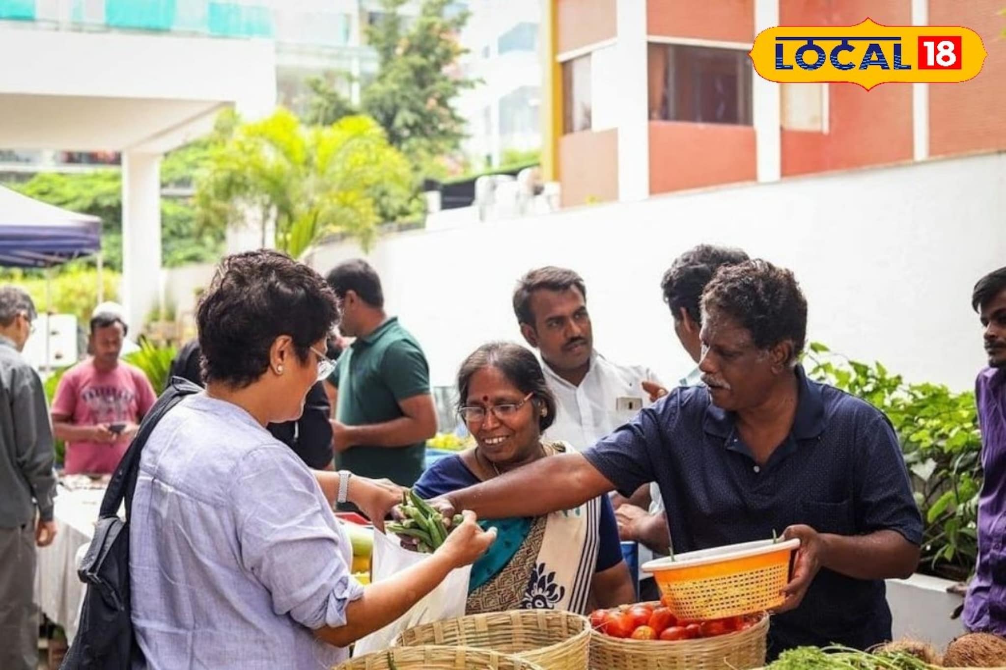 सेंद्रिय भाजीपाला- फळे खरेदी करताय? खरा कसा ओळखायचा? सोप्या टिप्सचा Video