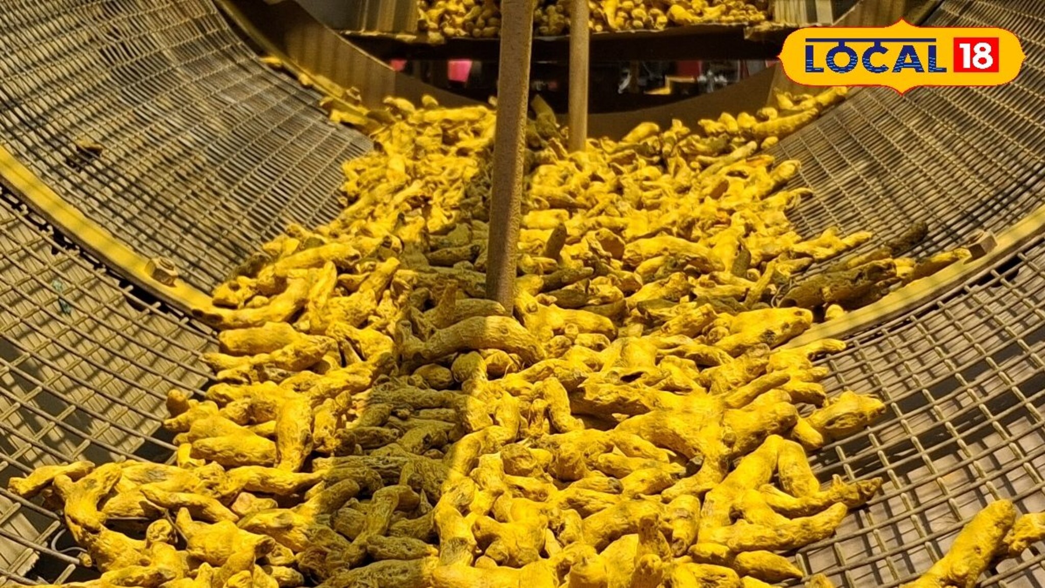 APMC Market: शेतकऱ्यांसाठी गुड न्यूज, हळदीच्या दरात मोठी वाढ, डाळिंबाला काय मिळाला भाव?