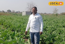 Success Story : 10 गुंठ्यात करून दाखवलं, वांग्याची शेती ठरली फायद्याची, लाखात कमाई
