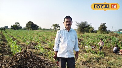 अद्रक शेतीतून सदाशिव भोपळे यांची झेप; 2 एकरात 7 लाखांचे उत्पन्न..! <br><br>