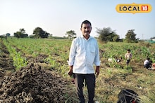 Success Story : शेतात केला सोपा प्रयोग, अद्रक लागवडीचा प्रयोग ठरला हिट, वर्षाला 7 लाखांची कमाई